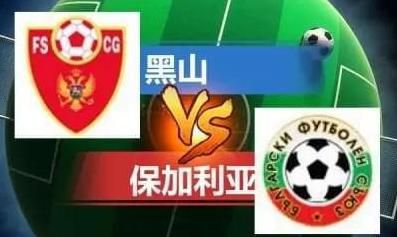 老司机精品福利视频