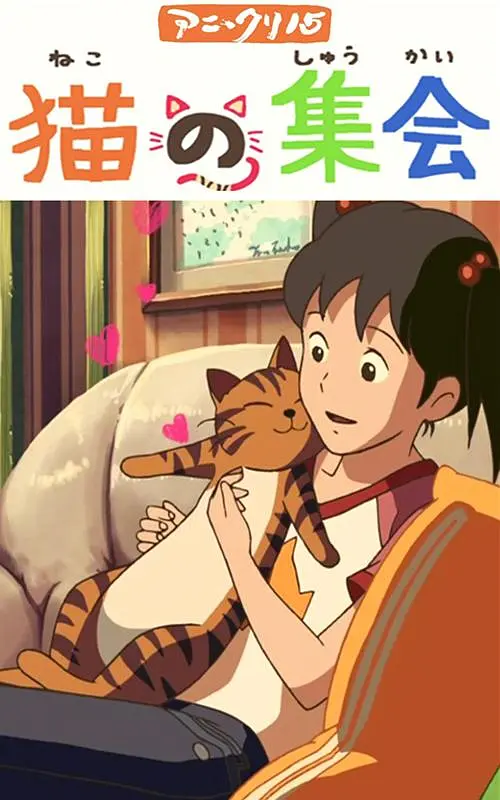 爱的释放小说