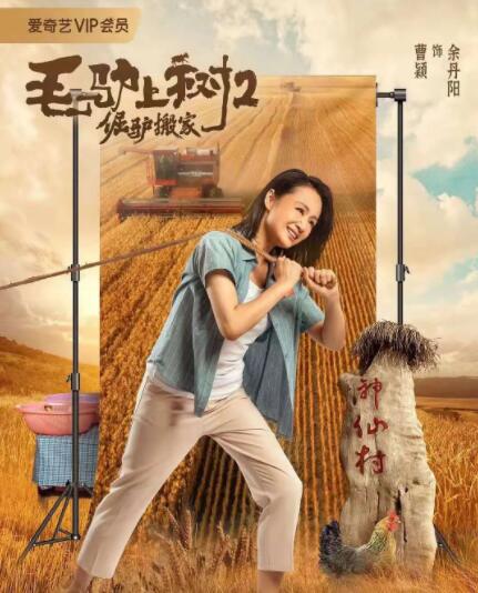 最漂亮的女职员