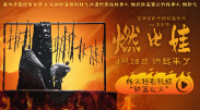 十大污视频软件