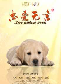 成人a在线视频