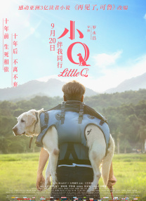 久久少妇精品