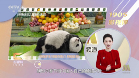 久久er精品